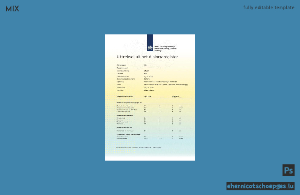 Niederländischer MboRijnland-Diplomregisterauszug im Word- und PDF-Format (Beispielvorschau)